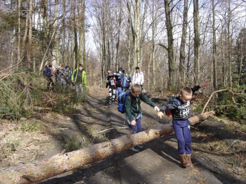 Wycieczka Biskupi� Kop� - w drodze do schroniska s063 - PTTK Strzelin