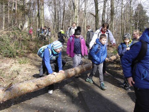 Wycieczka Biskupi� Kop� - w drodze do schroniska s065 - PTTK Strzelin
