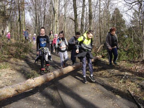 Wycieczka Biskupi� Kop� - w drodze do schroniska s066 - PTTK Strzelin