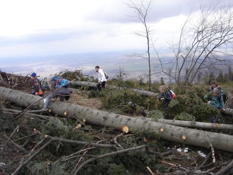 W drodze na szczyt Biskupiej Kopy s096 - PTTK Strzelin