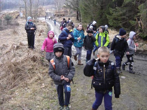 Zej�cie do Jarno�t�wka s114 - PTTK Strzelin