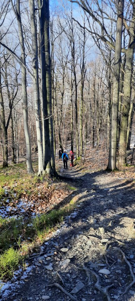 Wycieczka w Góry Opawskie s002 - PTTK Strzelin
