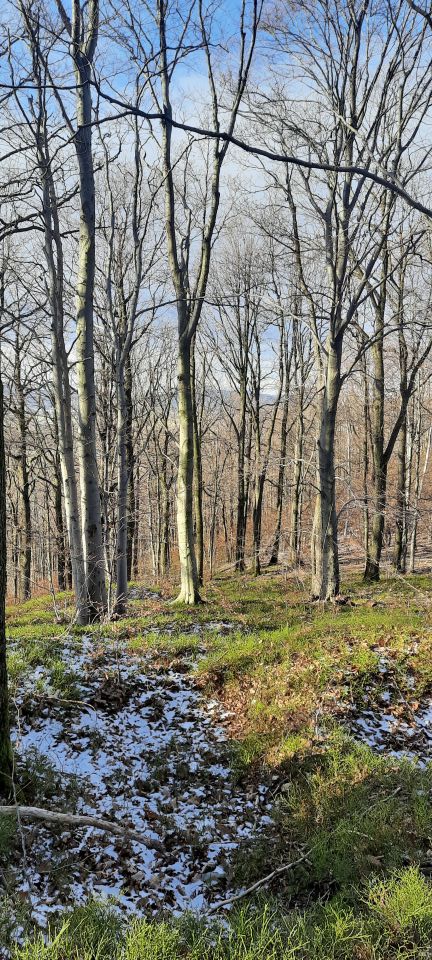Wycieczka w Góry Opawskie s002 - PTTK Strzelin