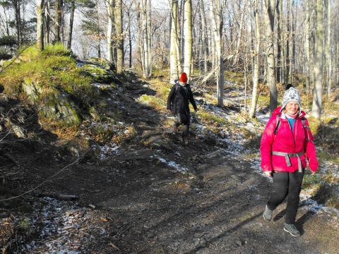 Wycieczka w Góry Opawskie s19 - PTTK Strzelin