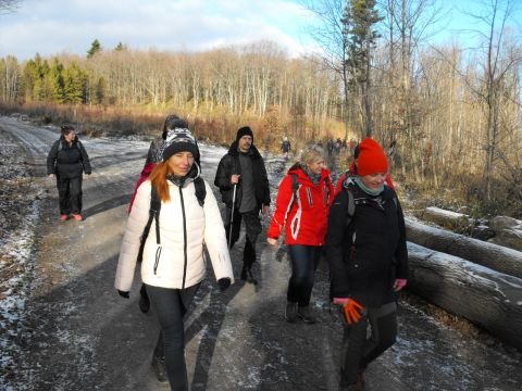Wycieczka w Góry Opawskie s31 - PTTK Strzelin
