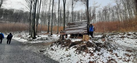 Wycieczka w Góry Opawskie s33 - PTTK Strzelin