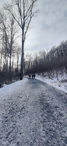 Wycieczka w Góry Opawskie s34 - PTTK Strzelin