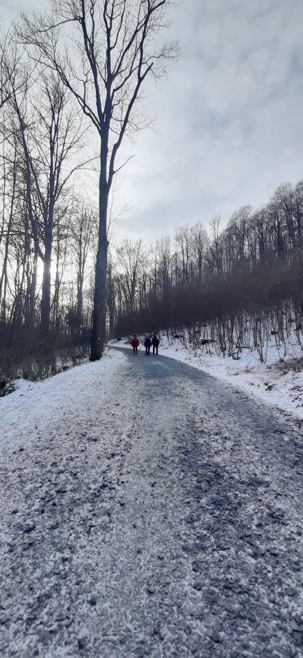 Wycieczka w Góry Opawskie s002 - PTTK Strzelin