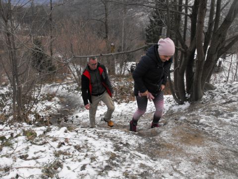 Wycieczka w Góry Opawskie s37 - PTTK Strzelin