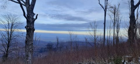 Wycieczka w Góry Opawskie s88 - PTTK Strzelin