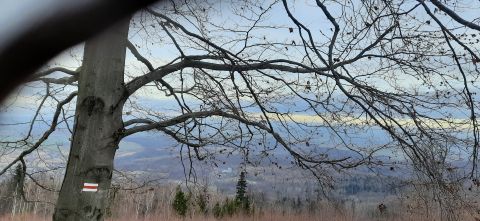 Wycieczka w Góry Opawskie s89 - PTTK Strzelin