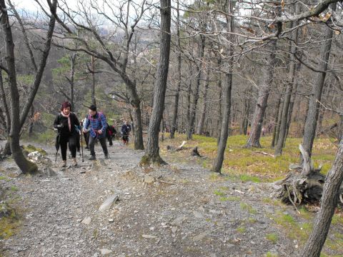 Wycieczka Zlatohorská vrchovina s16 - PTTK Strzelin