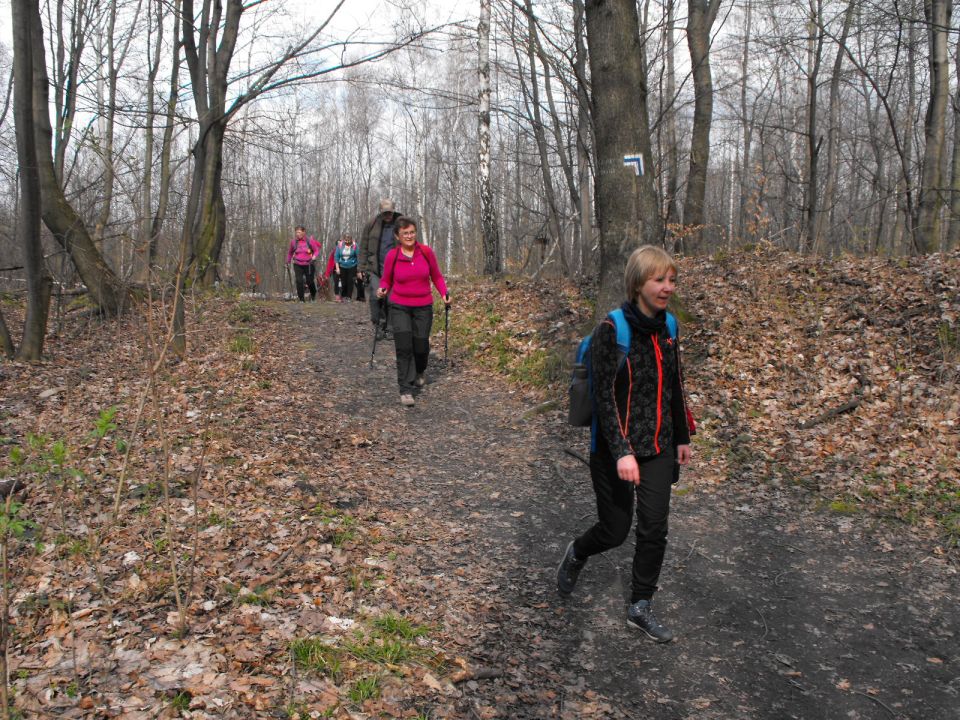 Wycieczka Zlatohorská vrchovina s002 - PTTK Strzelin