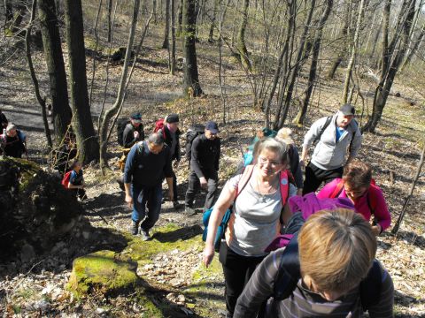 Wycieczka Zlatohorská vrchovina s53 - PTTK Strzelin