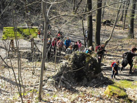 Wycieczka Zlatohorská vrchovina s54 - PTTK Strzelin