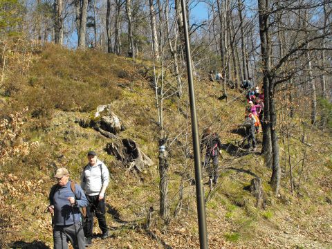 Wycieczka Zlatohorská vrchovina s63 - PTTK Strzelin