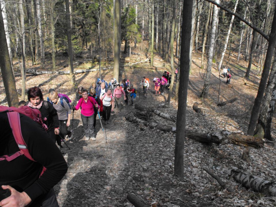 Wycieczka Zlatohorská vrchovina s002 - PTTK Strzelin