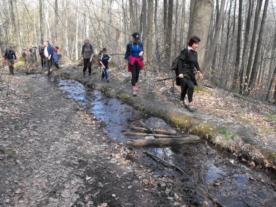 Wycieczka Zlatohorská vrchovina s002 - PTTK Strzelin