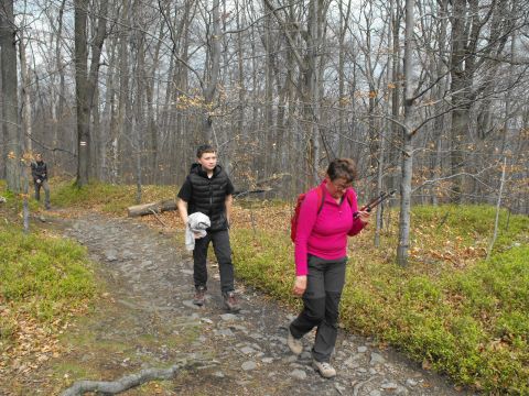 Wycieczka Zlatohorská vrchovina s84 - PTTK Strzelin