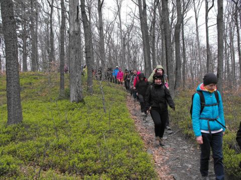 Wycieczka Zlatohorská vrchovina s105 - PTTK Strzelin