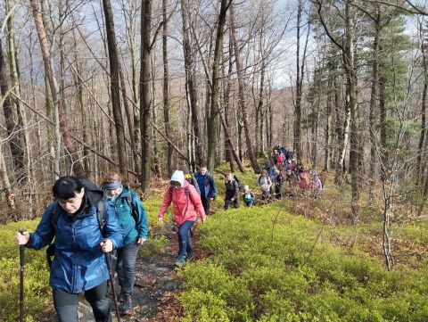 Wycieczka Zlatohorská vrchovina s170 - PTTK Strzelin