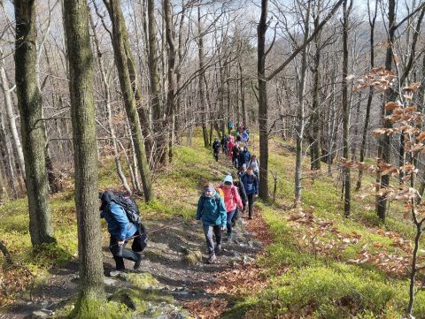 Wycieczka Zlatohorská vrchovina s172 - PTTK Strzelin