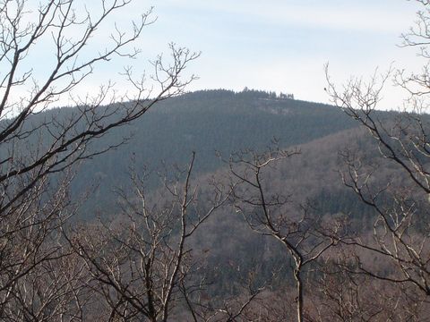 Biskupia Kopa - widok ze Srebrnej Kopy