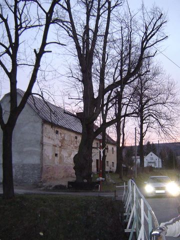 Jarno�t�wek u podn�a Biskupiej Kopy