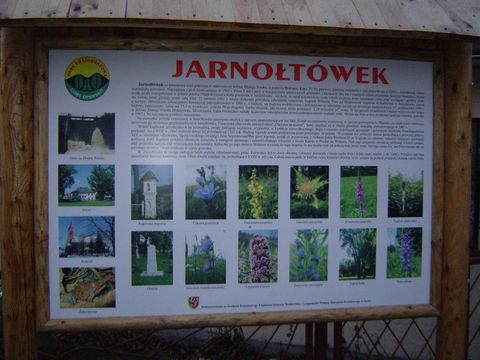 Jarno�t�wek u podn�a Biskupiej Kopy