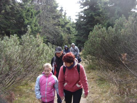 Wycieczka Góry Orlickie s26 - PTTK Strzelin