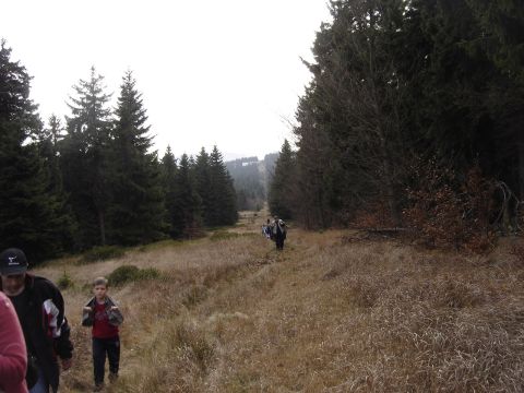 Wycieczka Góry Orlickie s37 - PTTK Strzelin