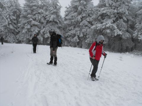 Wycieczka Orlické hory s48 - PTTK Strzelin