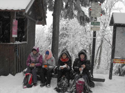 Wycieczka Orlické hory s50 - PTTK Strzelin