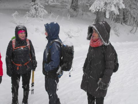 Wycieczka Orlické hory s104 - PTTK Strzelin