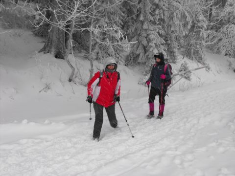 Wycieczka Orlické hory s109 - PTTK Strzelin