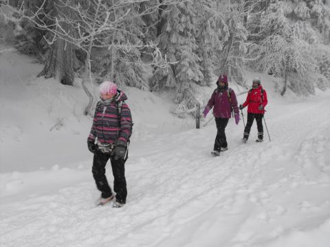 Wycieczka Orlické hory s113 - PTTK Strzelin