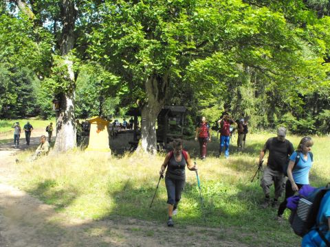 Wycieczka Orlické hory s14 - PTTK Strzelin