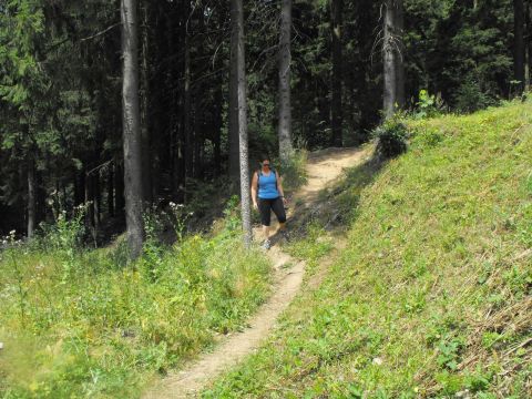 Wycieczka Orlické hory s48 - PTTK Strzelin