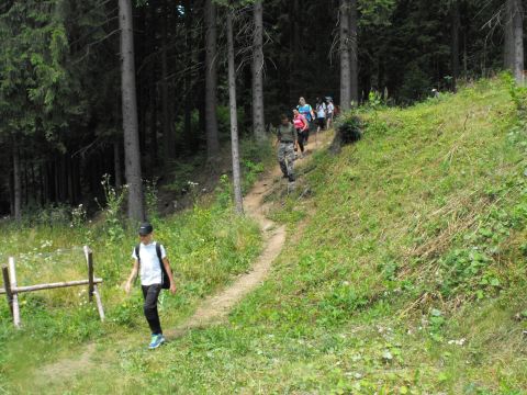 Wycieczka Orlické hory s49 - PTTK Strzelin