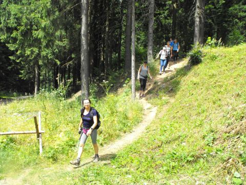 Wycieczka Orlické hory s52 - PTTK Strzelin