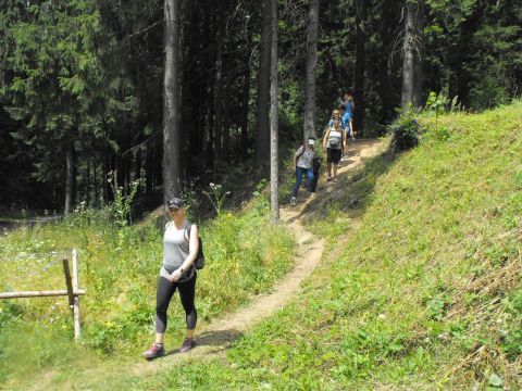 Wycieczka Orlické hory s53 - PTTK Strzelin