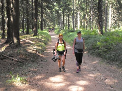 Wycieczka Orlické hory s123 - PTTK Strzelin