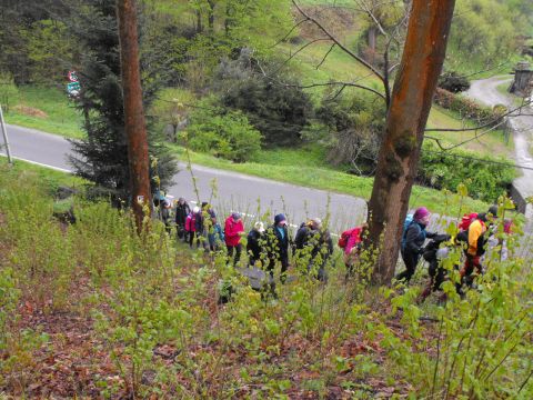 Wycieczka Góry Orlickie s23 - PTTK Strzelin