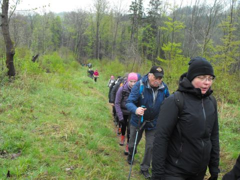 Wycieczka Góry Orlickie s26 - PTTK Strzelin