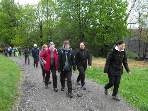 Wycieczka Góry Orlickie s32 - PTTK Strzelin