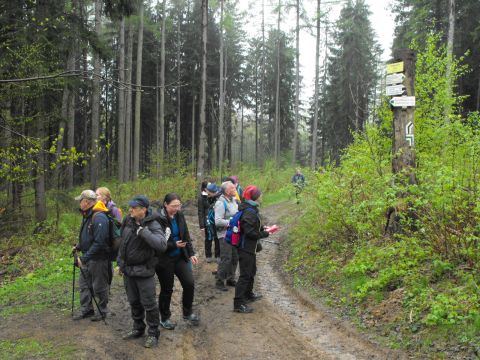 Wycieczka Góry Orlickie s34 - PTTK Strzelin