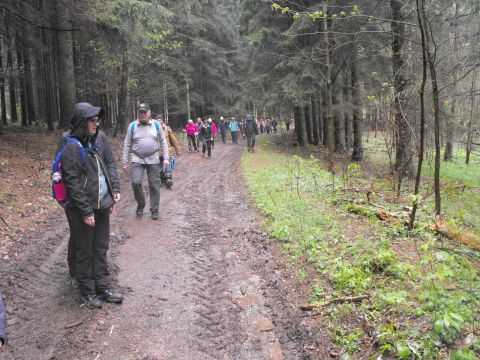 Wycieczka Góry Orlickie s36 - PTTK Strzelin