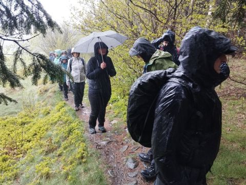 Wycieczka Góry Orlickie s59 - PTTK Strzelin