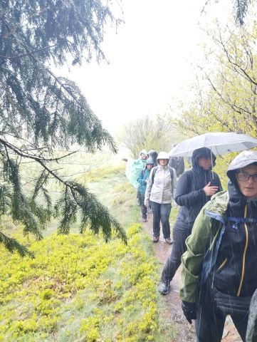 Wycieczka Góry Orlickie s60 - PTTK Strzelin