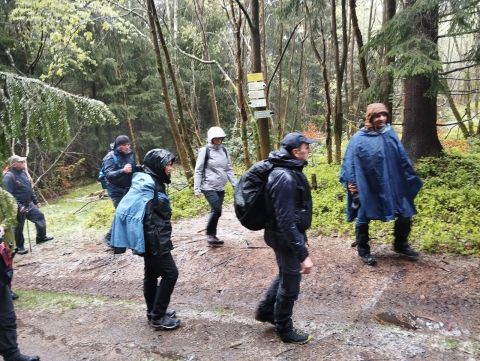 Wycieczka Góry Orlickie s67 - PTTK Strzelin